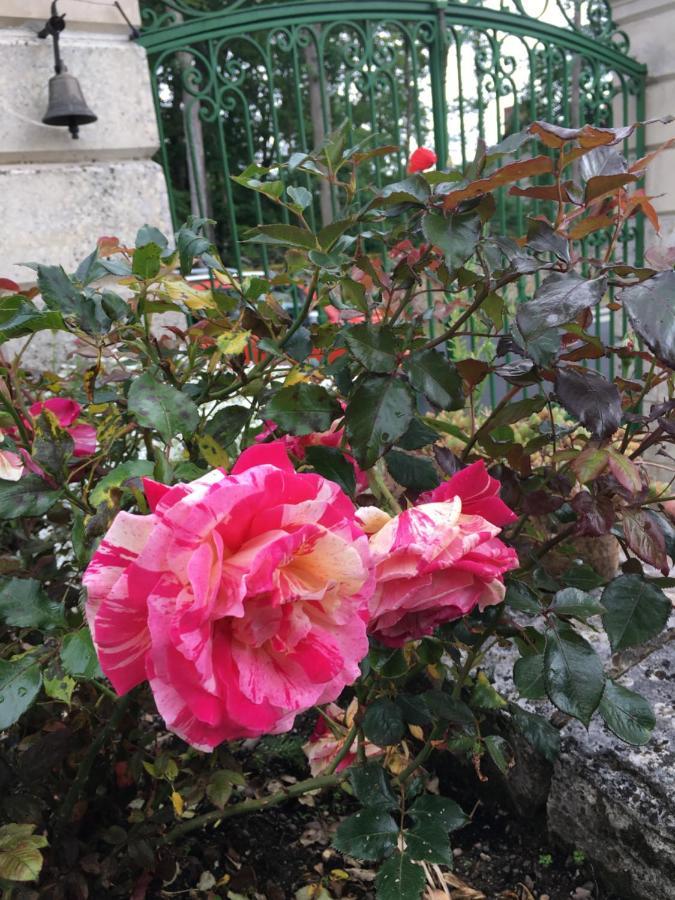 La Valiniere Bed & Breakfast Seur ภายนอก รูปภาพ